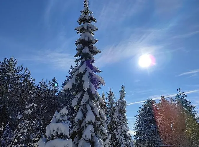 Carobni Breg דירה זלאטיבור