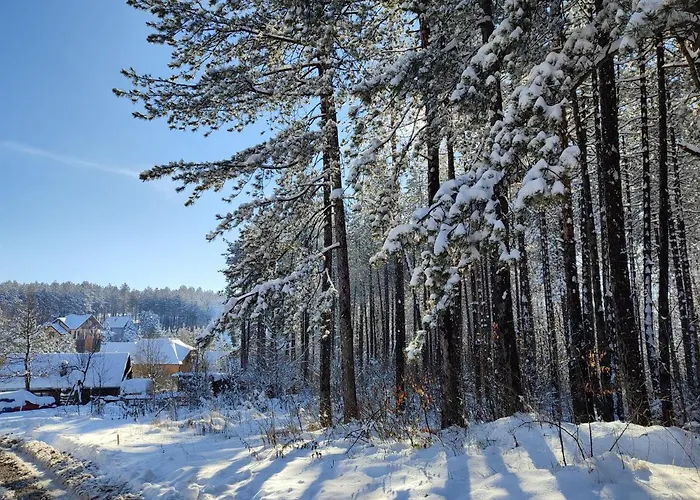 Carobni Breg דירה זלאטיבור